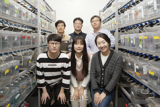 이윤성 IBS 유전체 항상성 연구단 연구위원(뒷줄 왼쪽서 두번째) 연구팀이 조혈줄기세포 생성에 히스톤 샤페론 단백질 중 하나인 '섭티16에이치'가 관여한다는 사실을 밝혀냈다.  IBS 제공